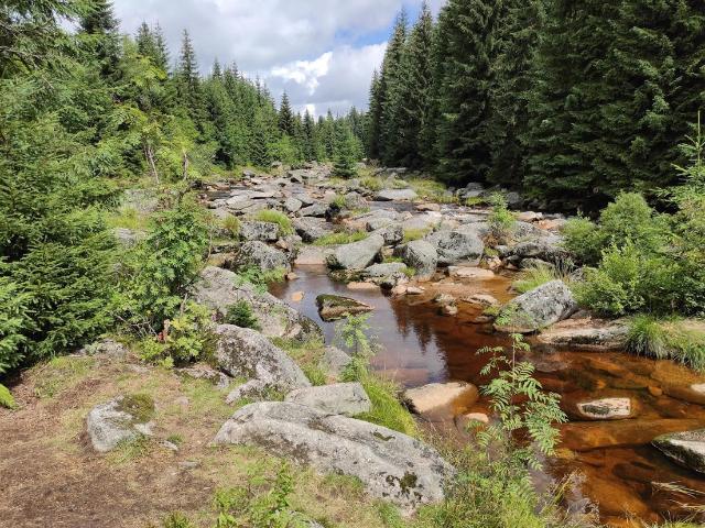 Ilustrační obrázek